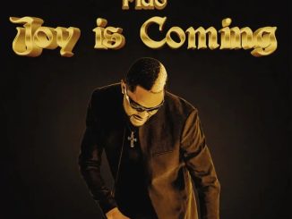 Fido – Joy Is Coming