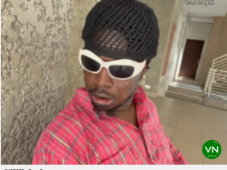 SHOPOFO - Forex Boys