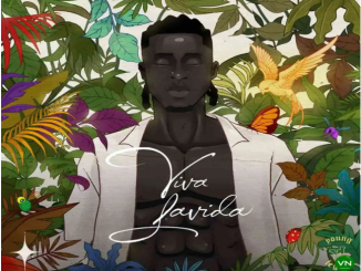 Joeboy - Free of Charge ft. Olamide