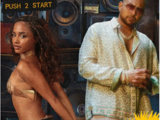 Tyla – PUSH 2 START (REMIX) Ft. Sean Paul