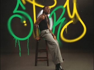 Fireboy DML – Story Ft. Take A Daytrip