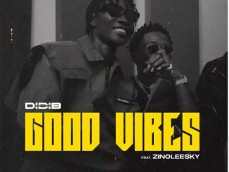 Didi B – Good Vibes Ft. Zinoleesky