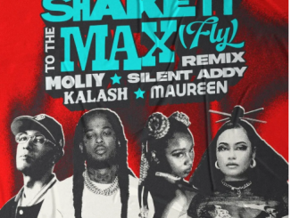 Moliy – Shake It To The Max (FLY) Remix Ft Silent Addy, Kalash & Maureen